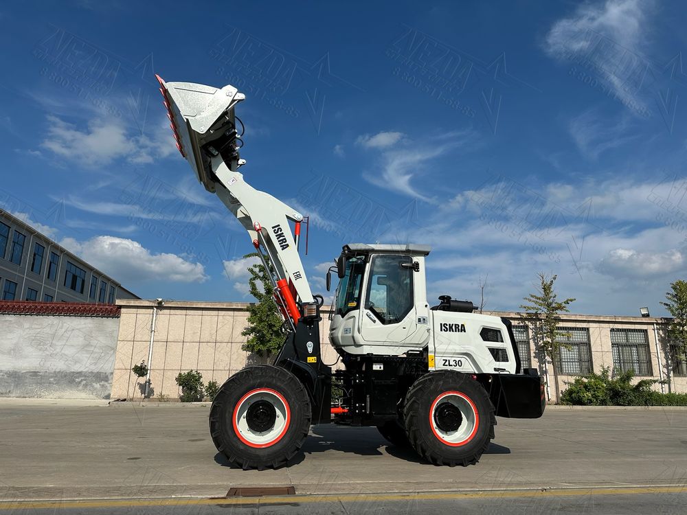 ISKRA ZL30 (NEW) - Фото №5