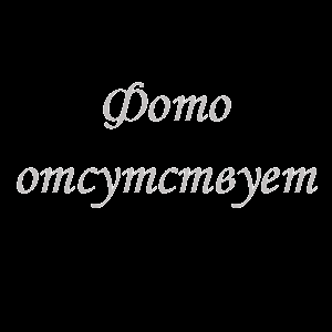Двигатель SIDA 4100 76 kw